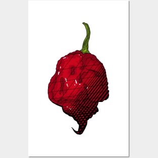 Habanero Chilli Pepper Sticker Spicy Hot Jalapeno Carolina Reaper Posters and Art